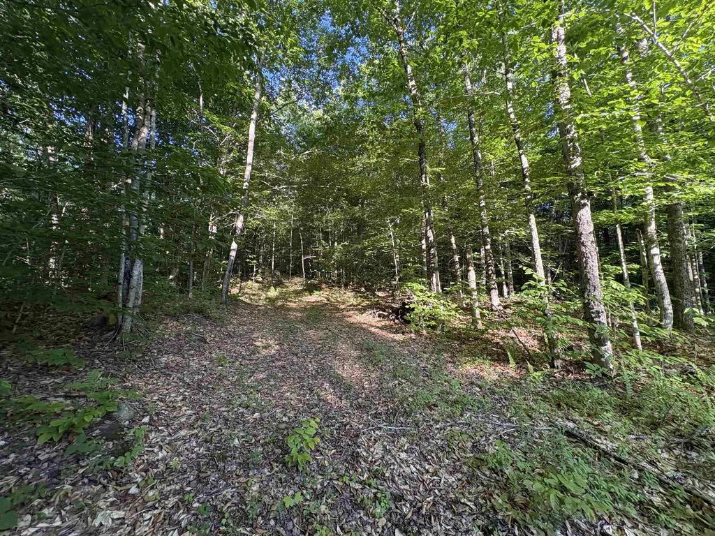 900 Wilderness Drive Burke VT 05832