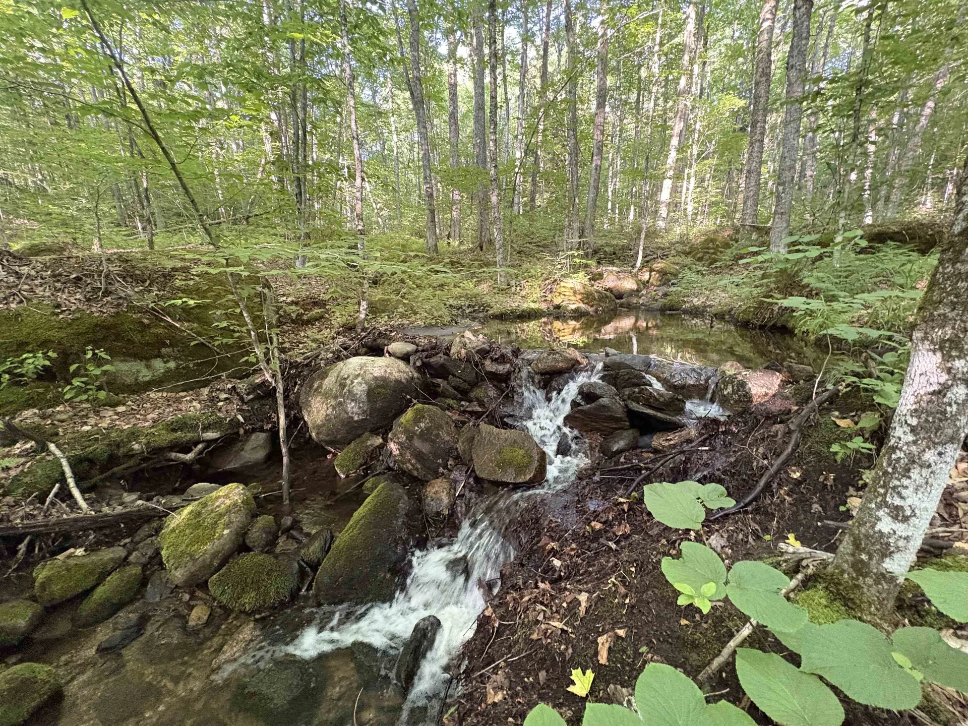 900 Wilderness Drive Burke VT 05832