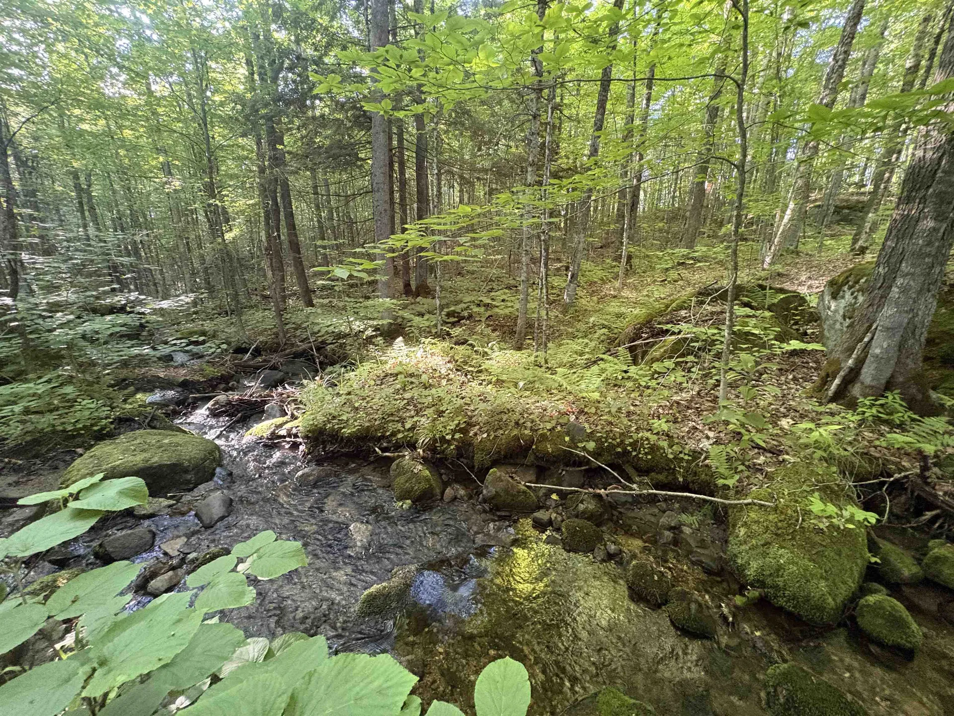 900 Wilderness Drive Burke VT 05832