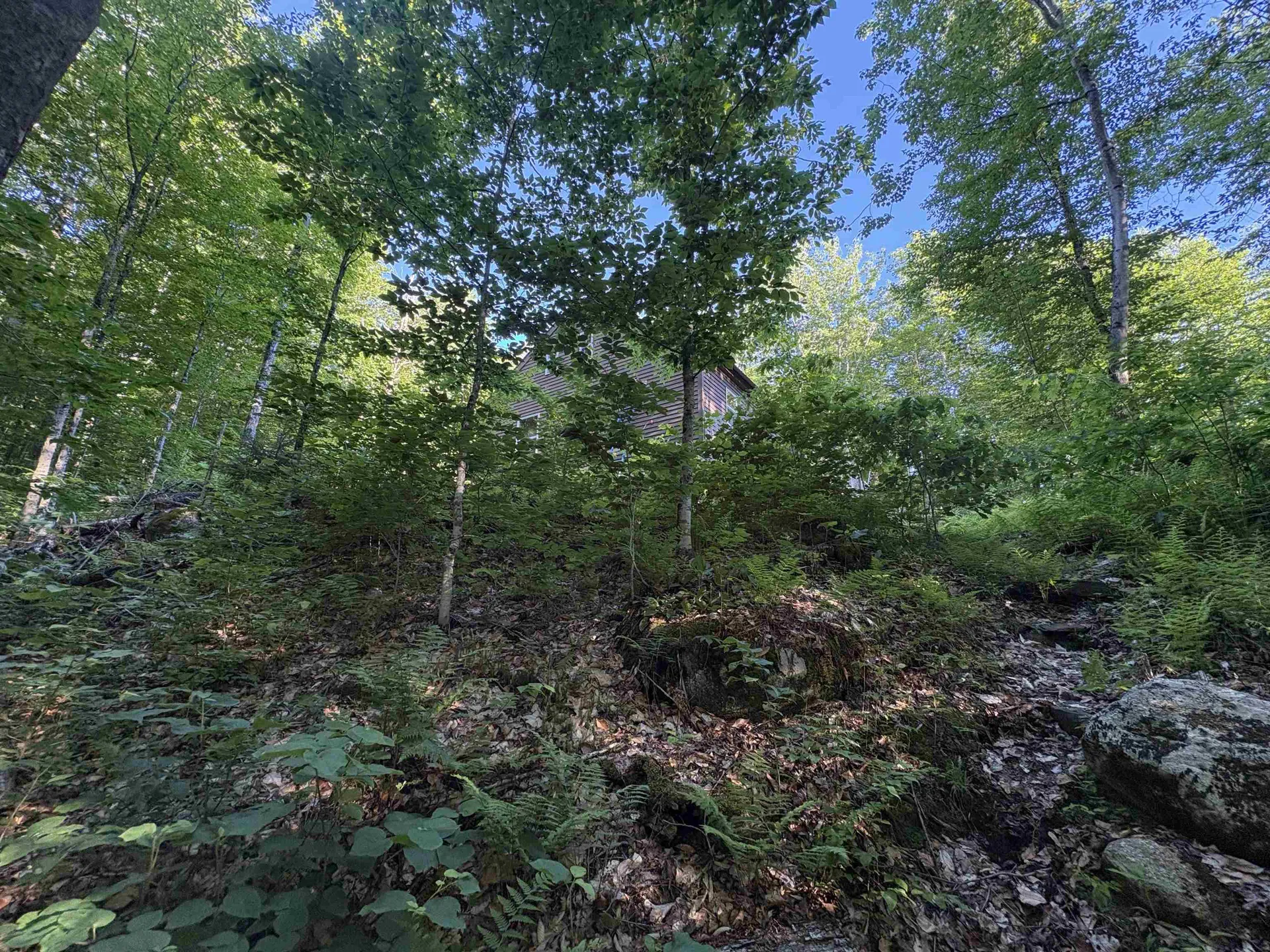 900 Wilderness Drive Burke VT 05832