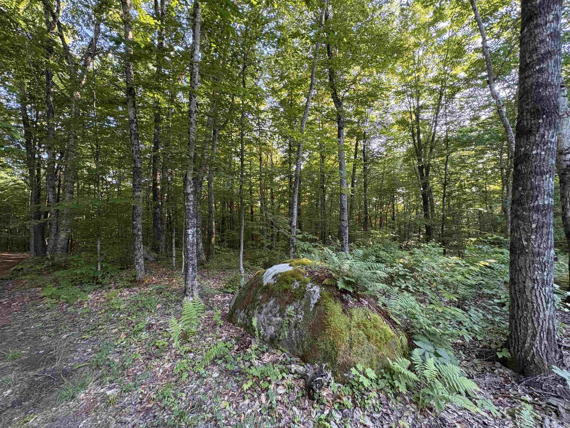 900 Wilderness Drive Burke VT 05832