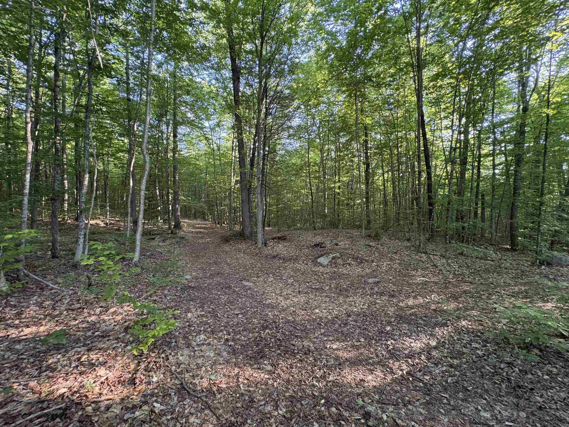 900 Wilderness Drive Burke VT 05832