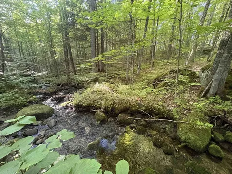 900 Wilderness Drive Burke VT 05832