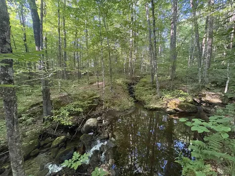 900 Wilderness Drive Burke VT 05832