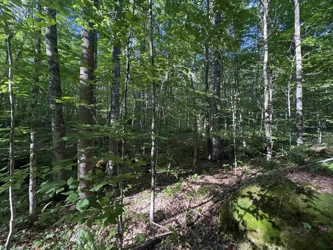 900 Wilderness Drive Burke VT 05832