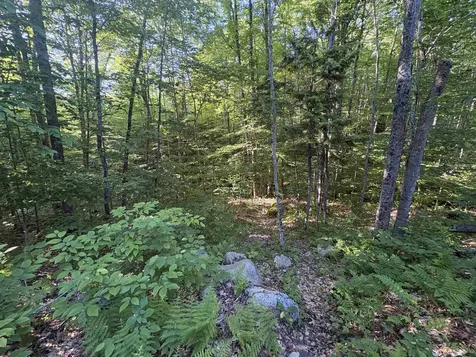 900 Wilderness Drive Burke VT 05832