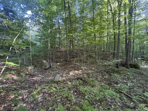 900 Wilderness Drive Burke VT 05832