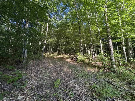 900 Wilderness Drive Burke VT 05832