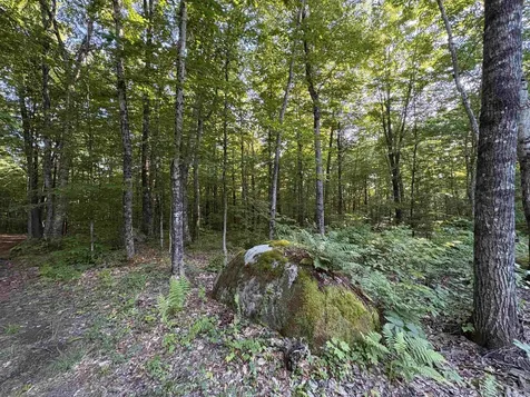900 Wilderness Drive Burke VT 05832