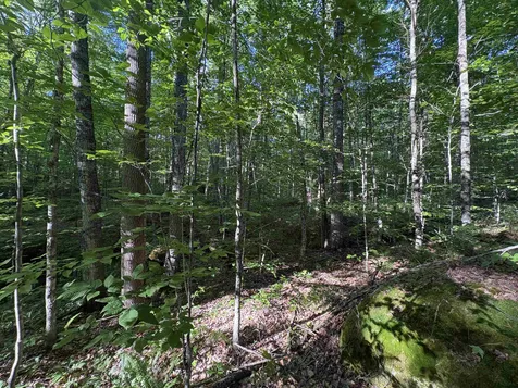 900 Wilderness Drive Burke VT 05832