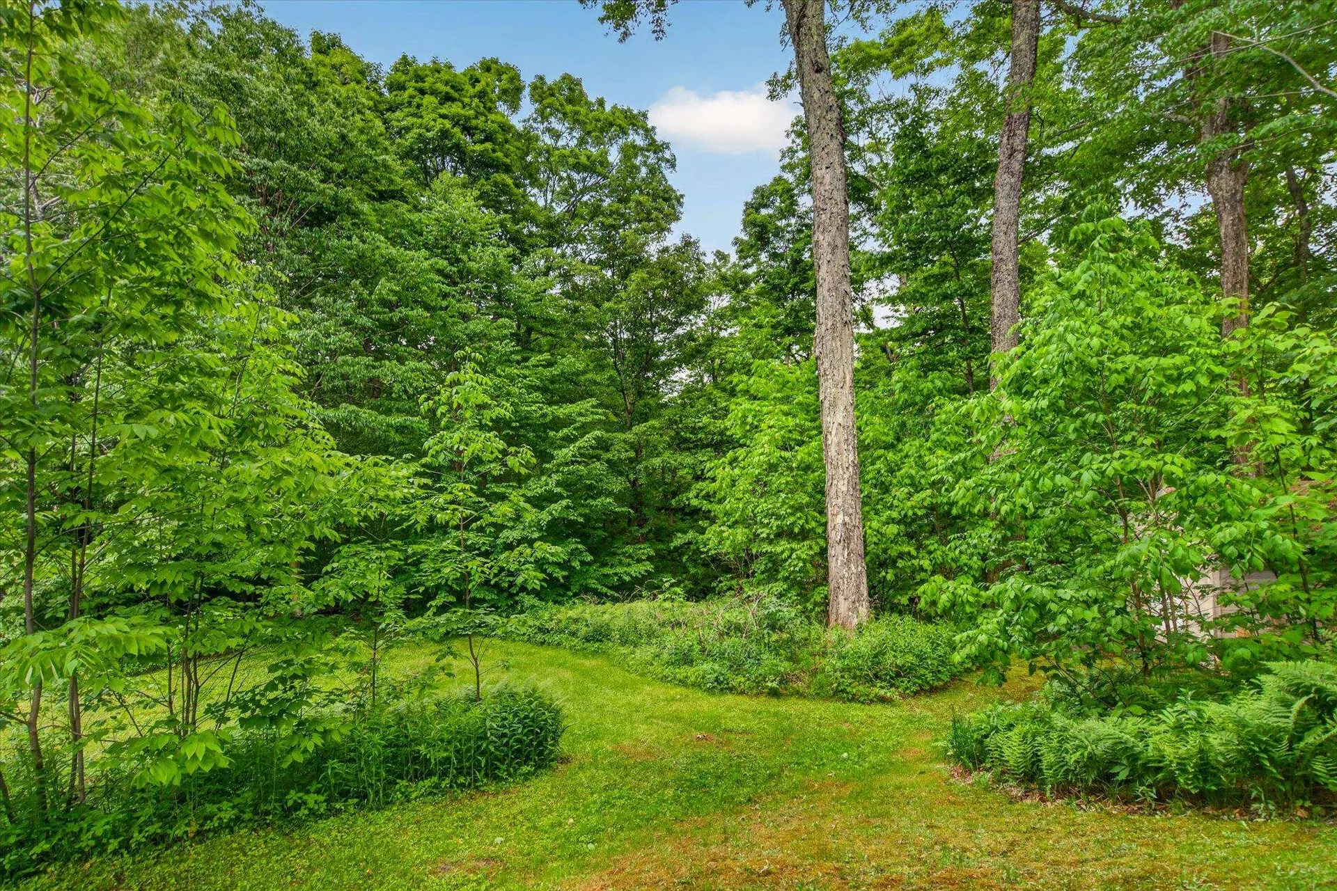 309 Ladyslipper Lane Killington VT 05751