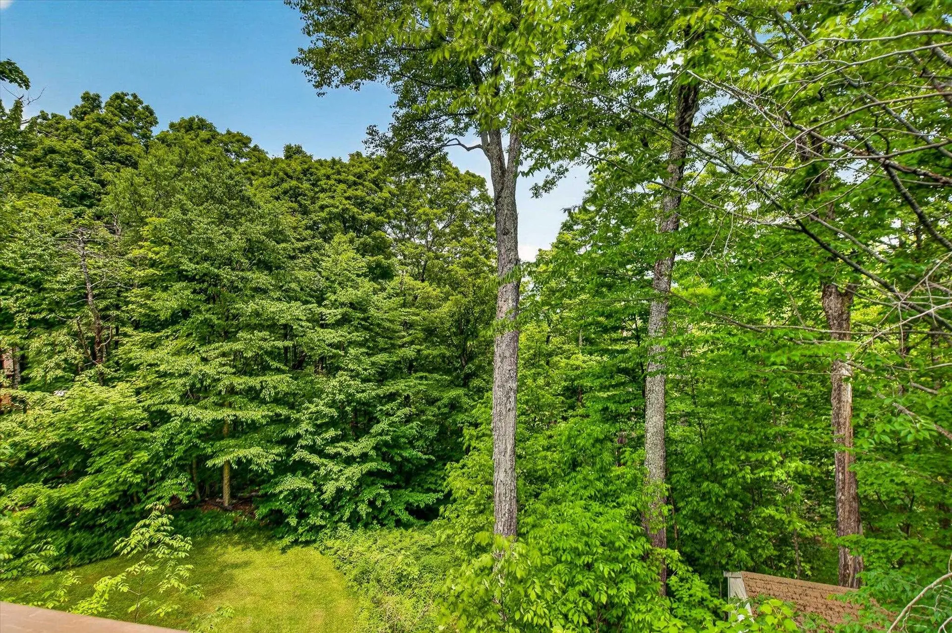 309 Ladyslipper Lane Killington VT 05751