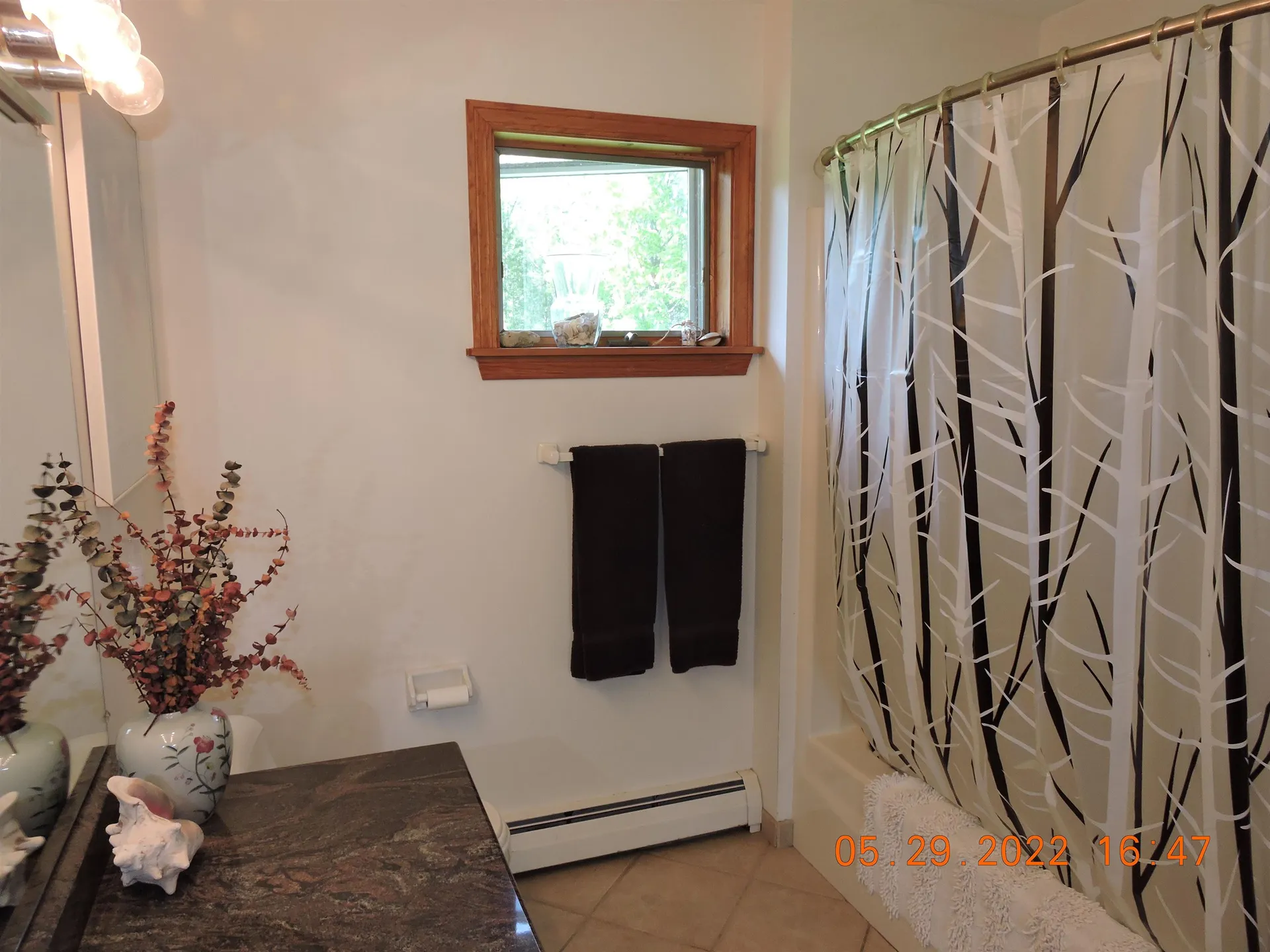 124 Lakefront Lane Barton VT 05822