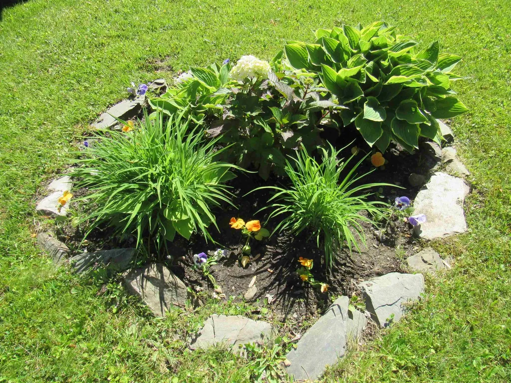 308 East Salem Drive Derby VT 05829