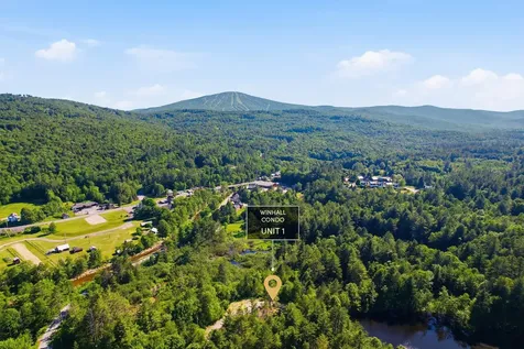 19 Winhall Condo Road Winhall VT 05340