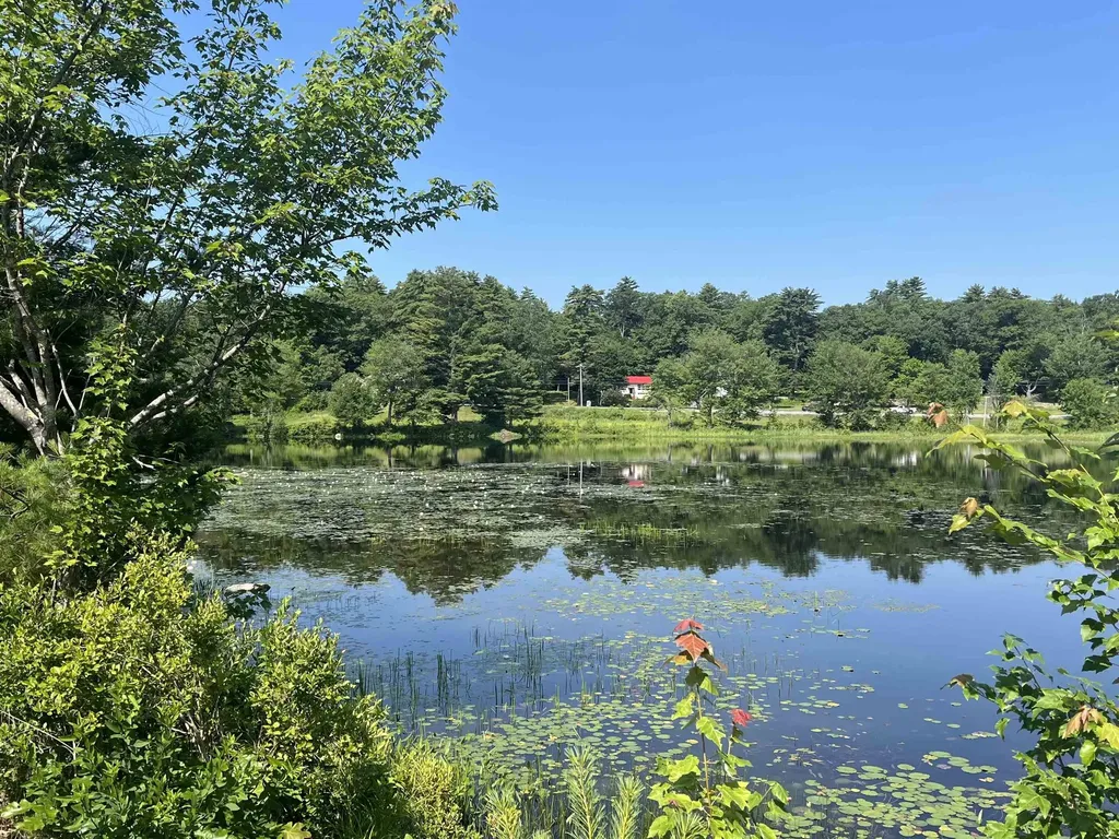 56 Kings Pine Road Wolfeboro NH 03894