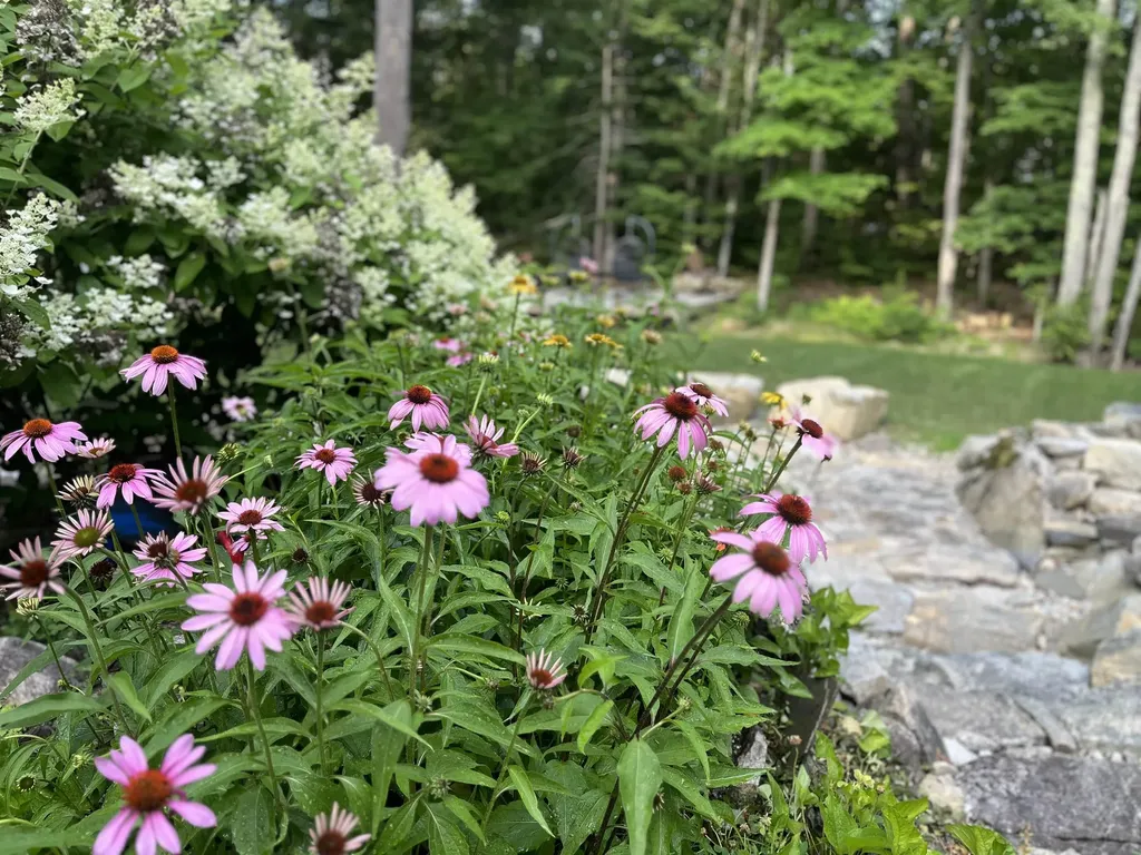 56 Kings Pine Road Wolfeboro NH 03894