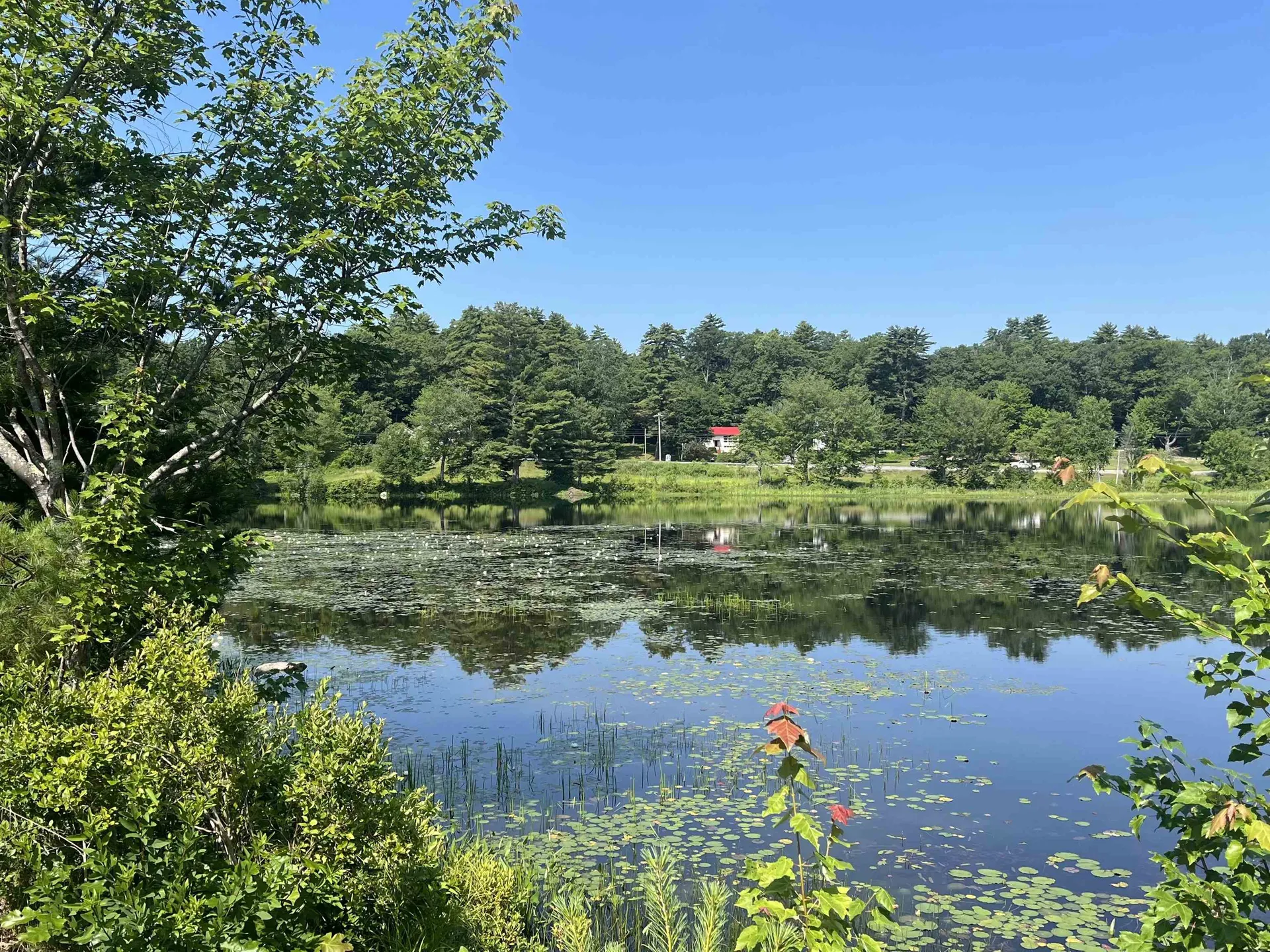 56 Kings Pine Road Wolfeboro NH 03894