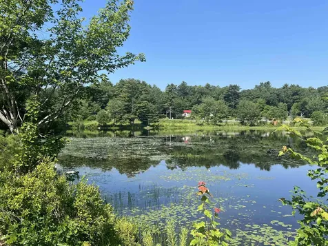 56 Kings Pine Road Wolfeboro NH 03894