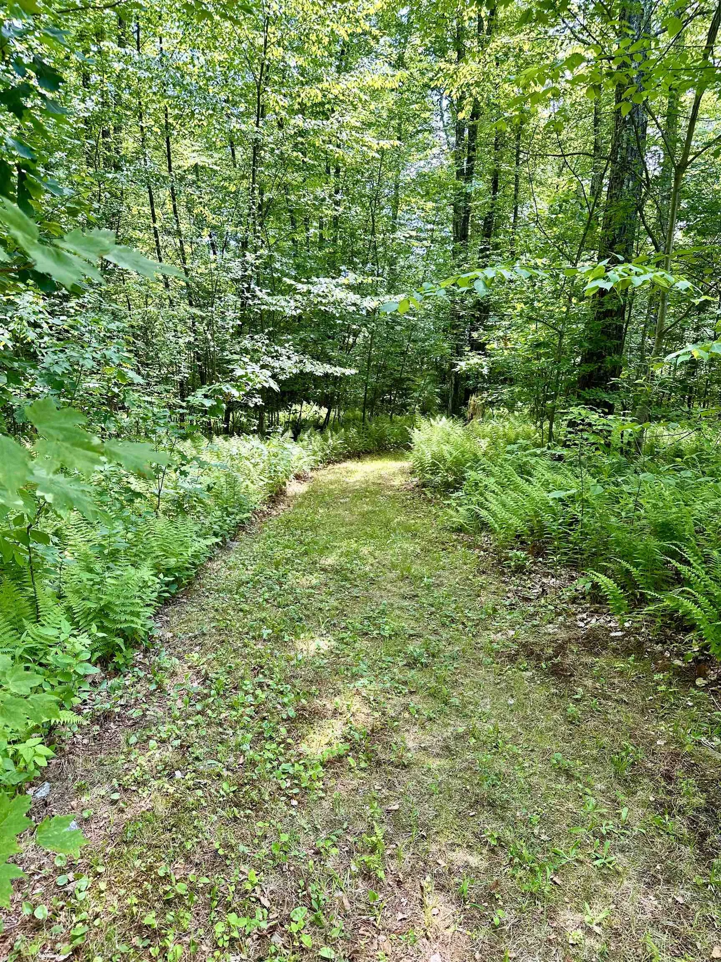 720 Pine Banks Road Westminster VT 05158
