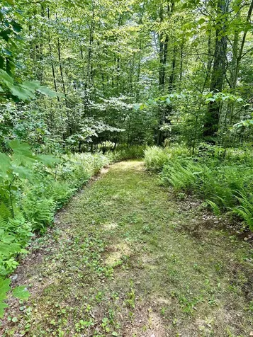 720 Pine Banks Road Westminster VT 05158