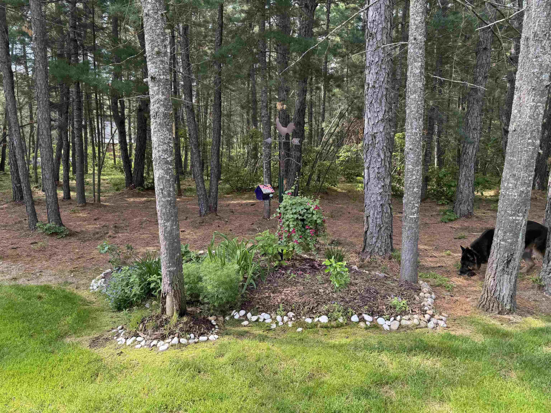 193 Stag Drive Madison NH 03875