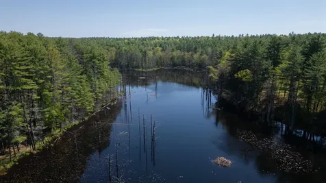 10 Sargent Road Brookline NH 03033