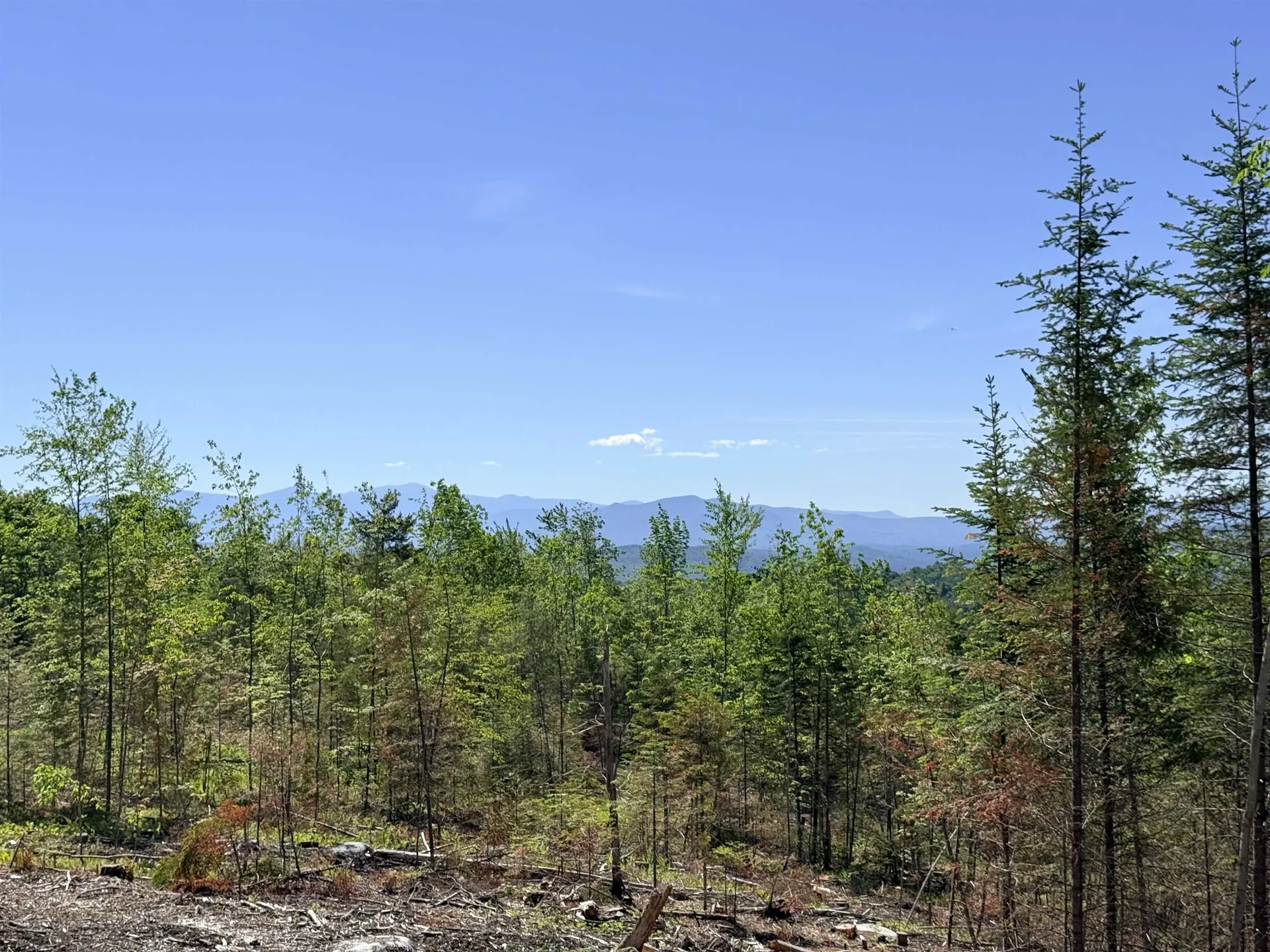 0 Kimball Road Lunenburg VT 05906