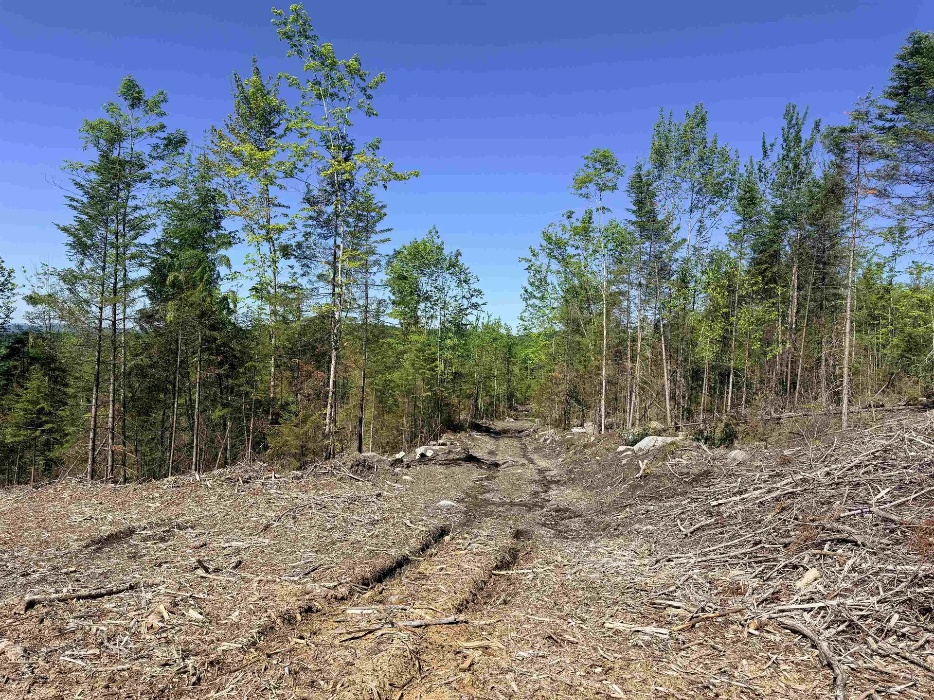 0 Kimball Road Lunenburg VT 05906