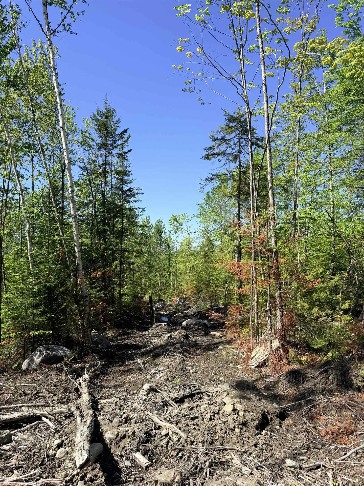 0 Kimball Road Lunenburg VT 05906
