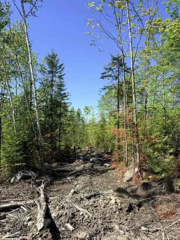 0 Kimball Road Lunenburg VT 05906
