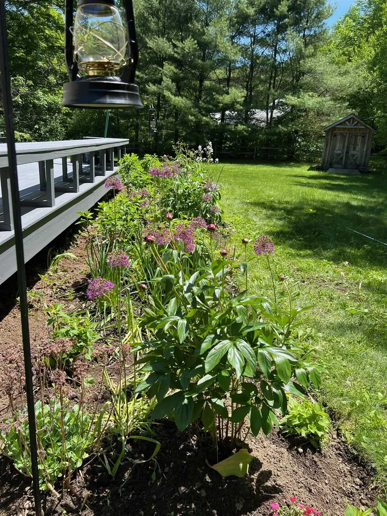 358 Cowdrey Path Woodstock VT 05071