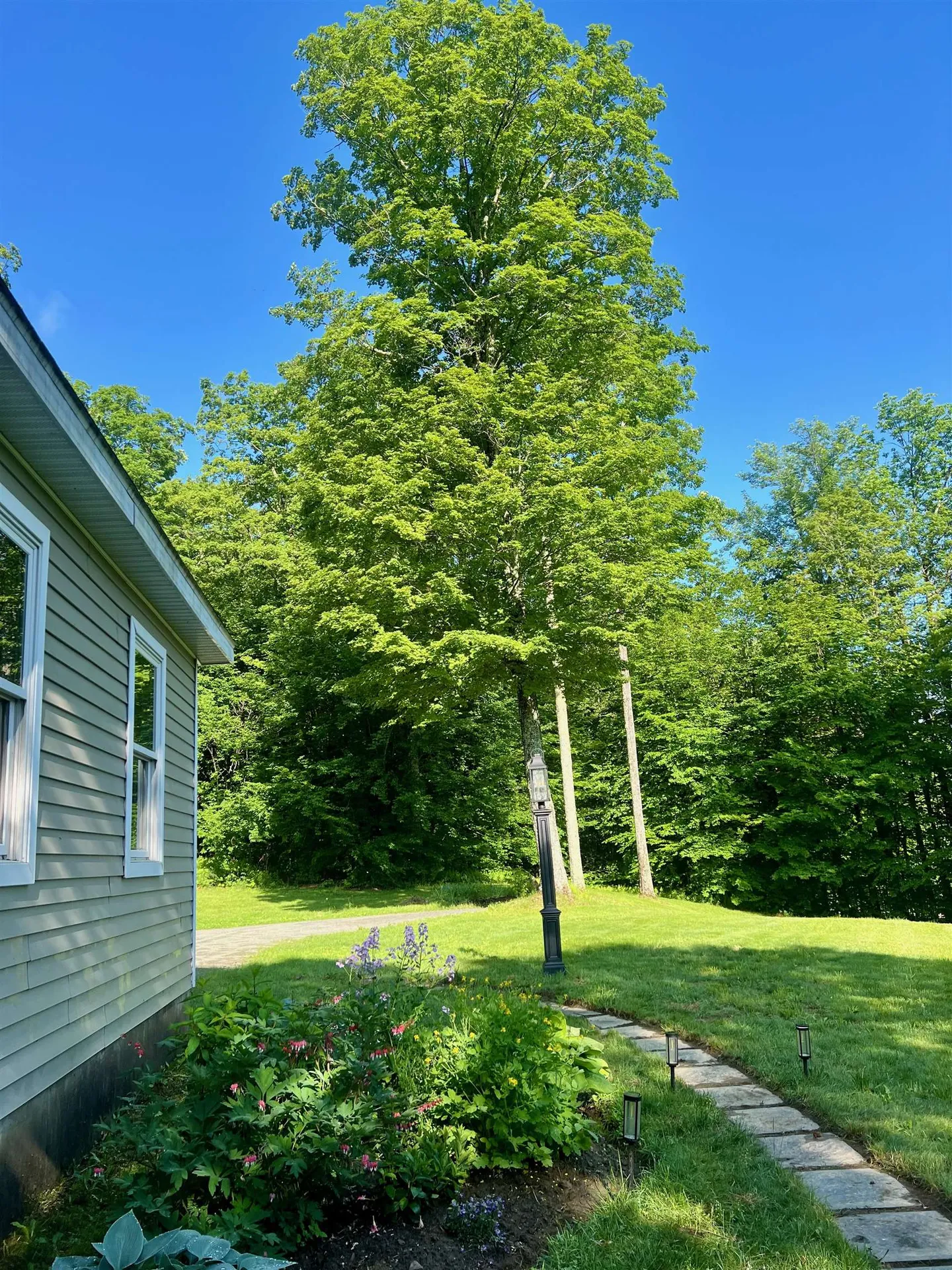 358 Cowdrey Path Woodstock VT 05071