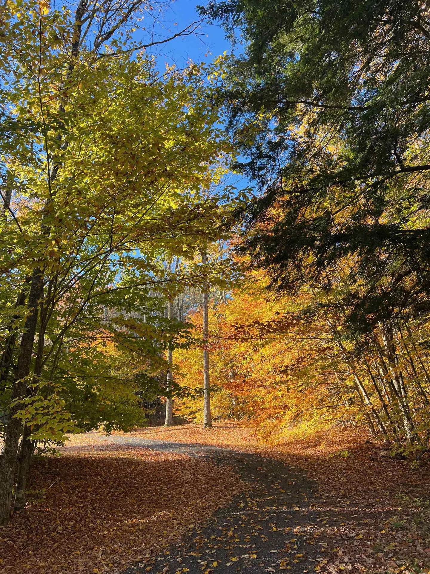 358 Cowdrey Path Woodstock VT 05071