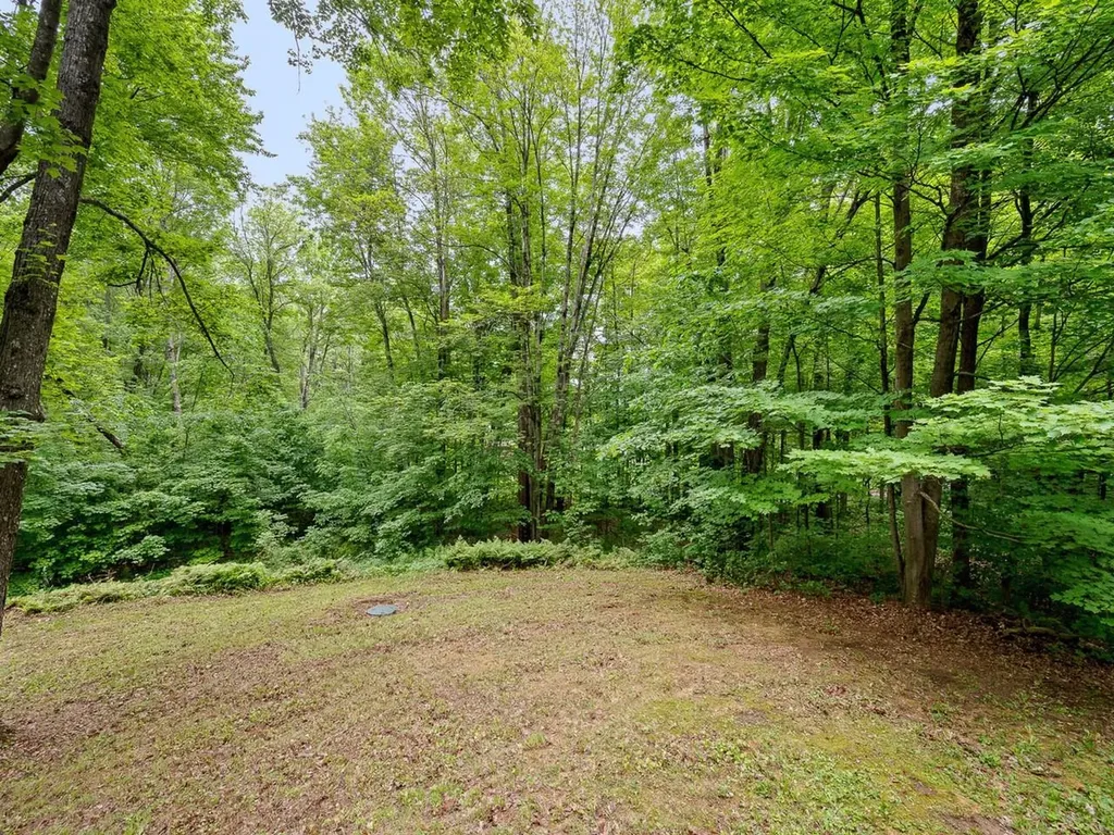 1128 Hardscrabble Road Bristol VT 05443