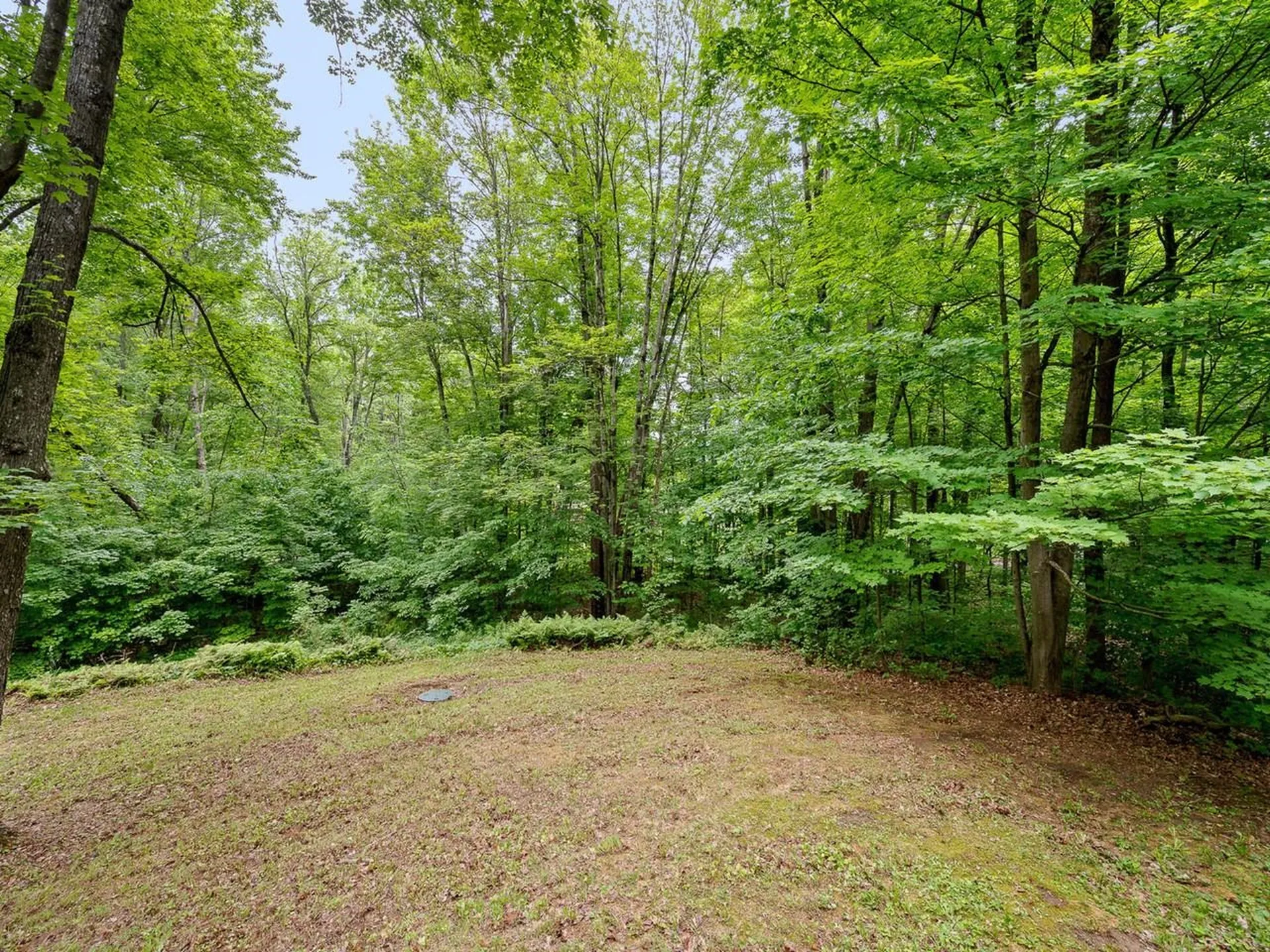 1128 Hardscrabble Road Bristol VT 05443