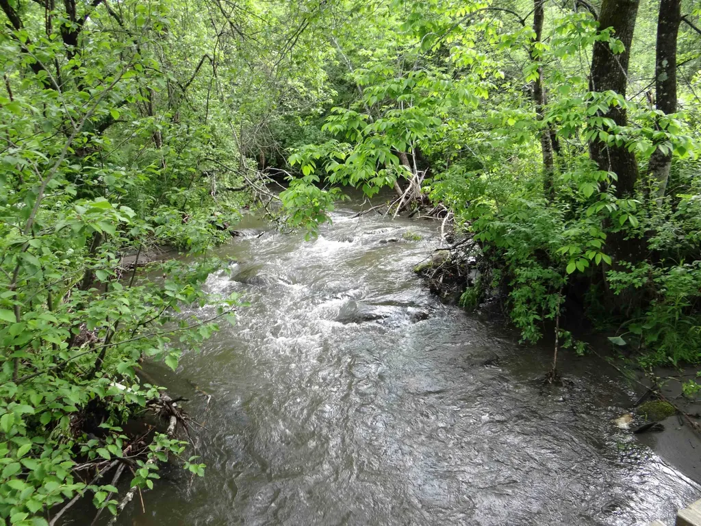 55 Powell Farm Road Sharon VT 05065