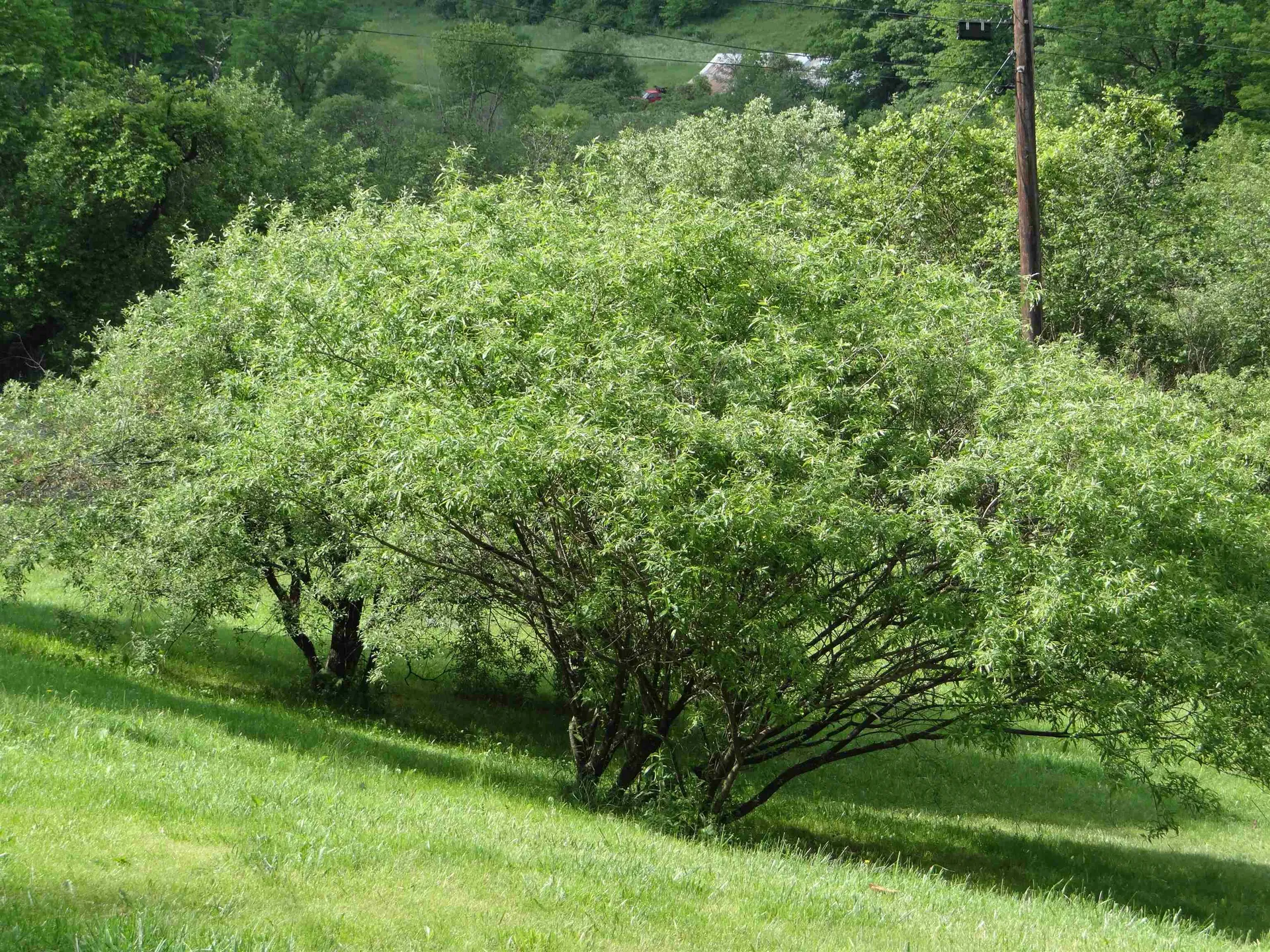 55 Powell Farm Road Sharon VT 05065