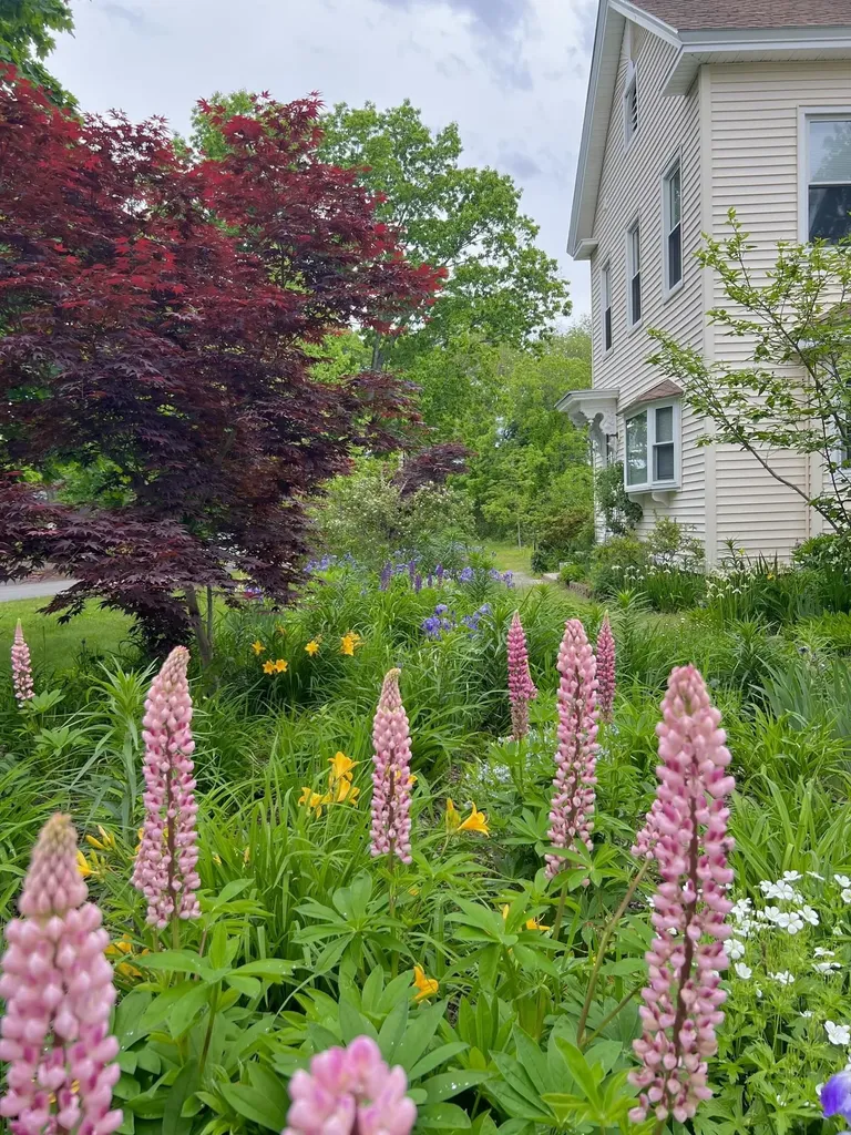 29 Spaulding Street Milford NH 03055
