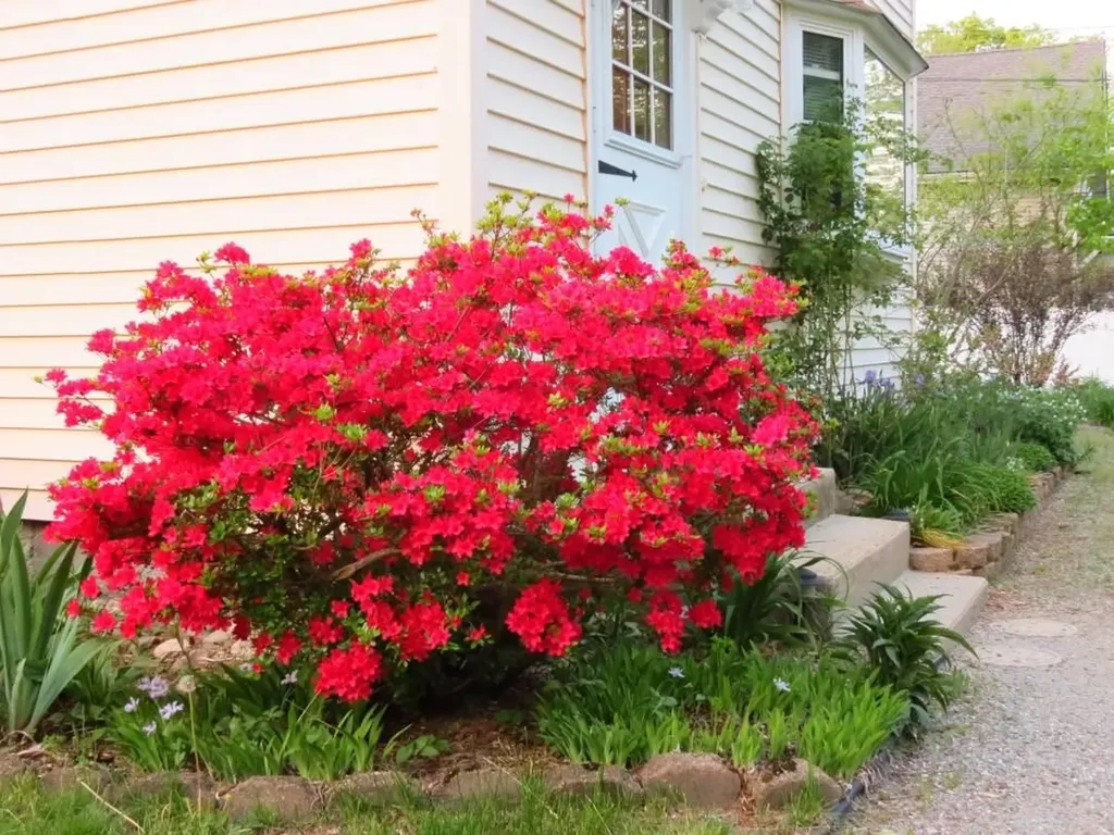 29 Spaulding Street Milford NH 03055