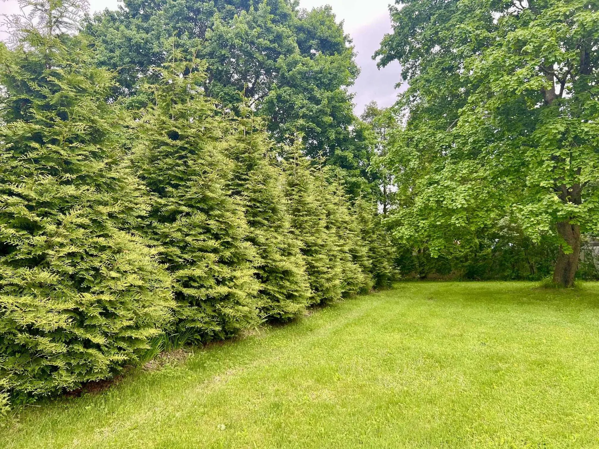 29 Spaulding Street Milford NH 03055