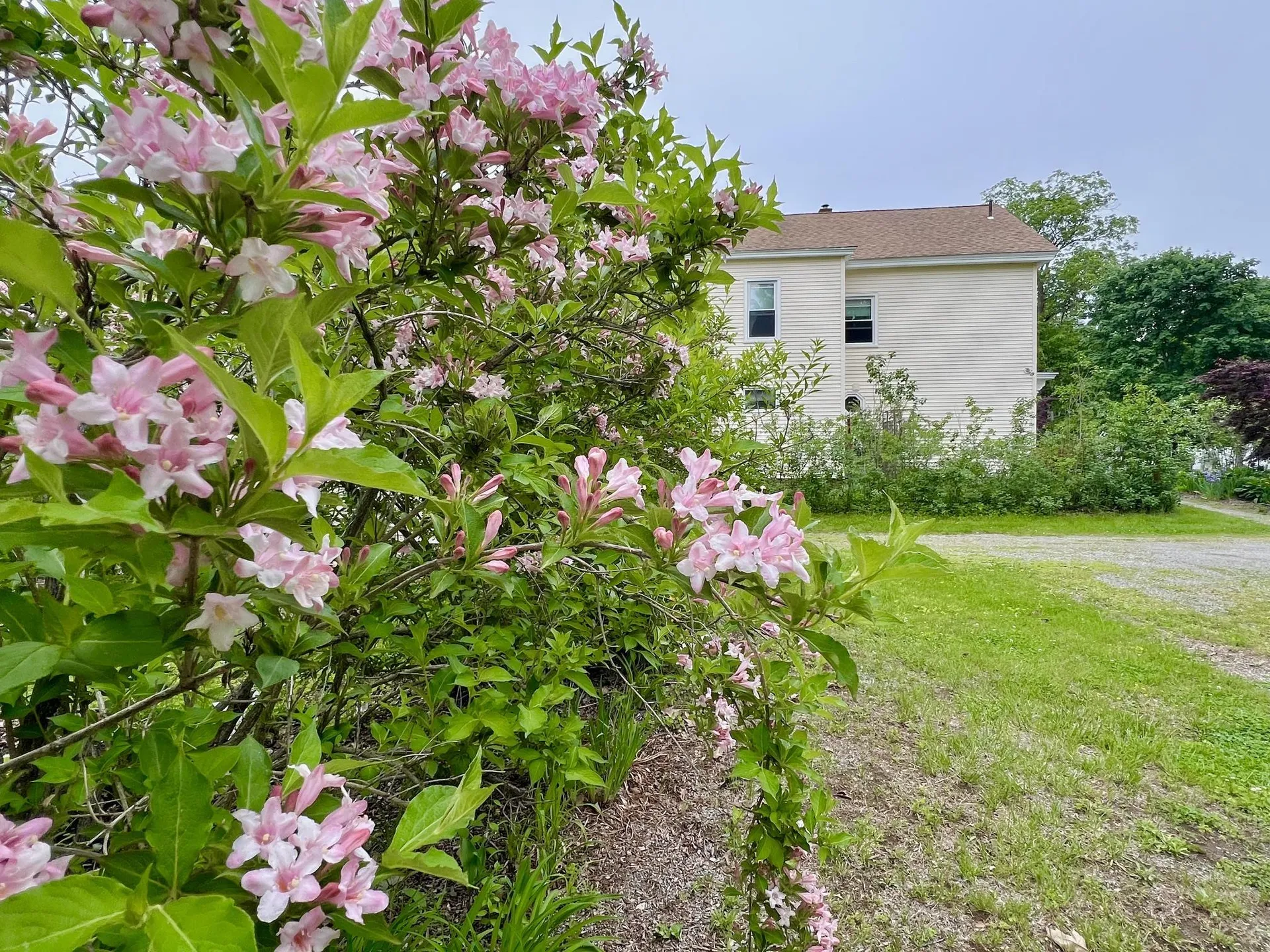 29 Spaulding Street Milford NH 03055