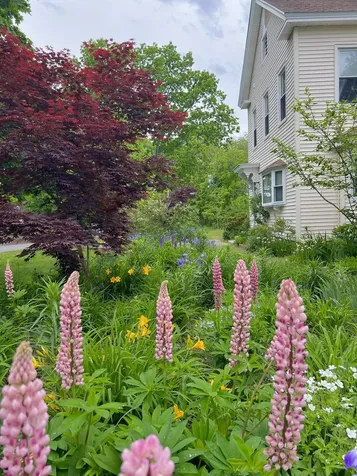 29 Spaulding Street Milford NH 03055