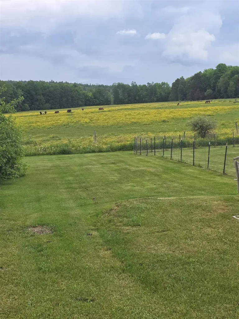427 Stone Road Williamstown VT 05679