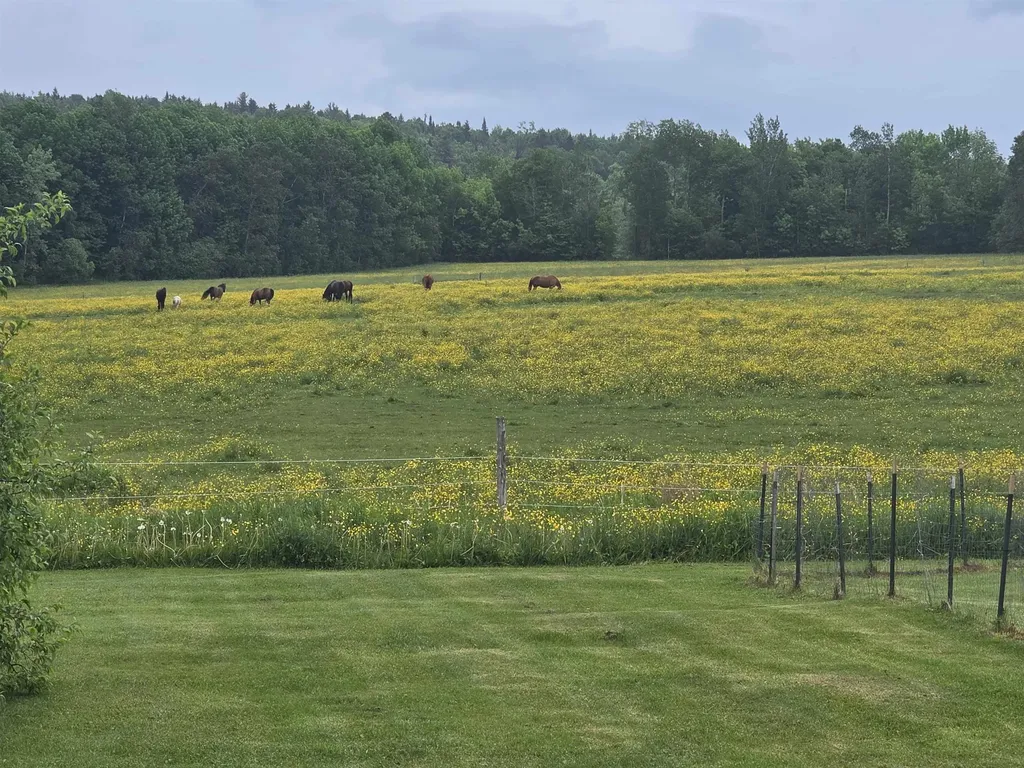 427 Stone Road Williamstown VT 05679