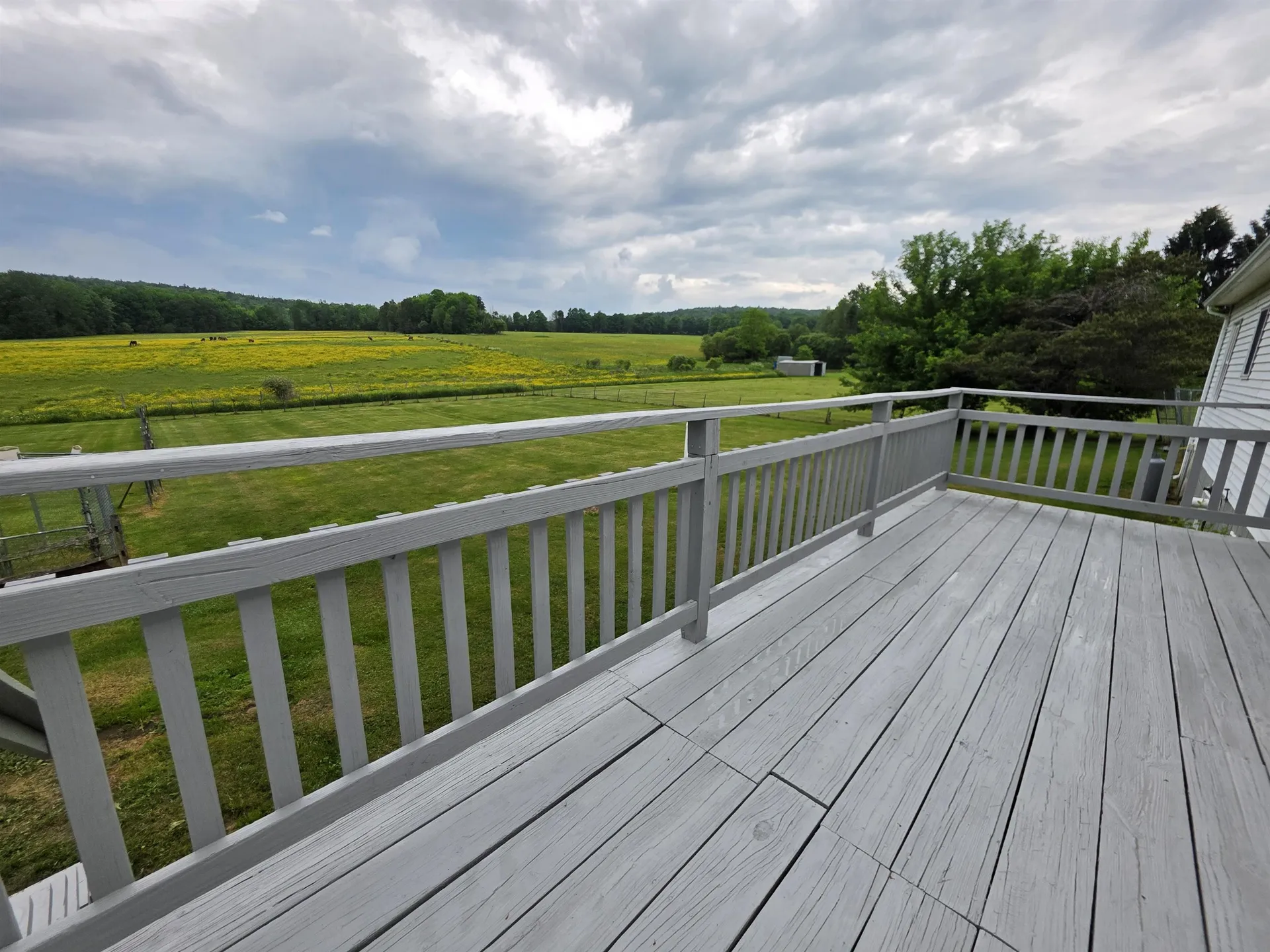 427 Stone Road Williamstown VT 05679