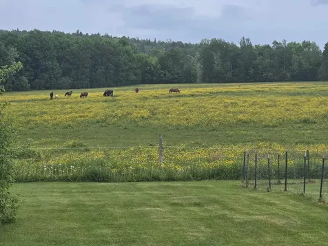 427 Stone Road Williamstown VT 05679