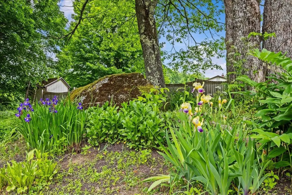539 Spruce Haven Road Waterbury VT 05677