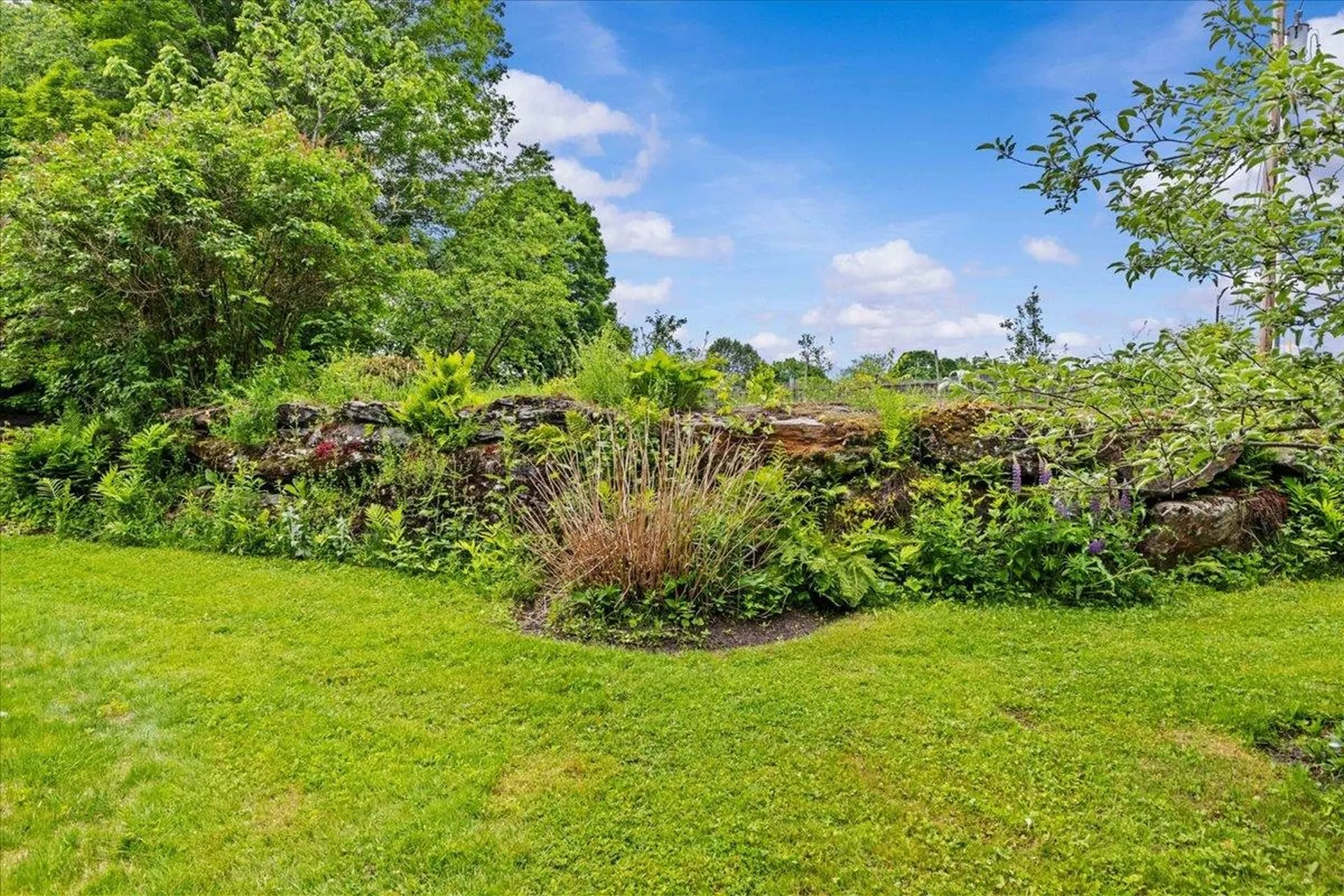 539 Spruce Haven Road Waterbury VT 05677