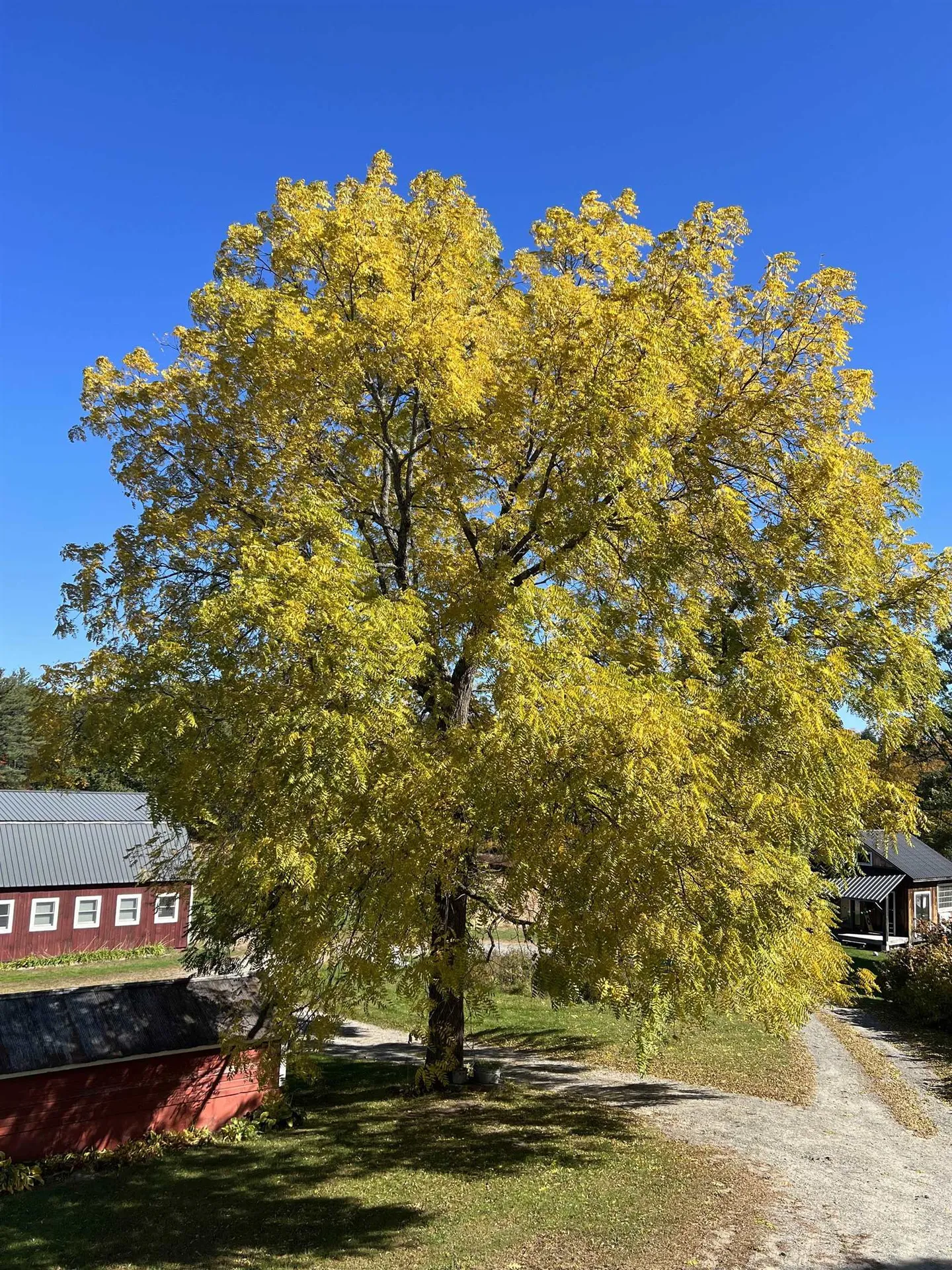 218 Depot Road Newfane VT 05362